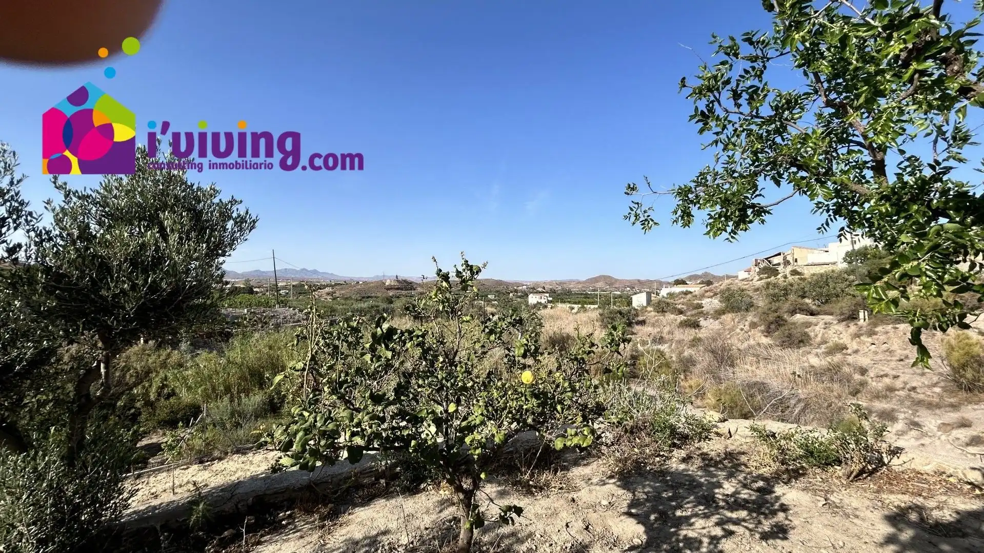 Finca rústica de alquiler en Cantoria