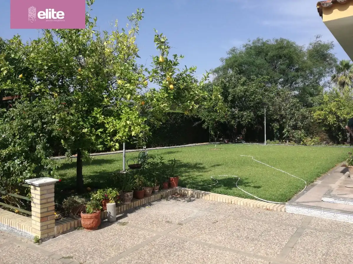 Chalet con jardín en venta en Arcos de la Frontera, imagen 4