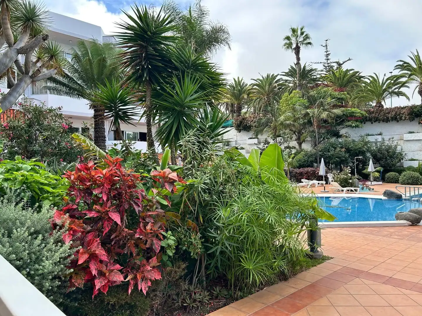 Appartamento con piscina in vendita a Zona Botánico
