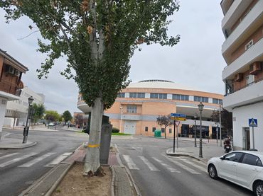 Pis amb ascensor en venda a La Dehesa - El Pinar