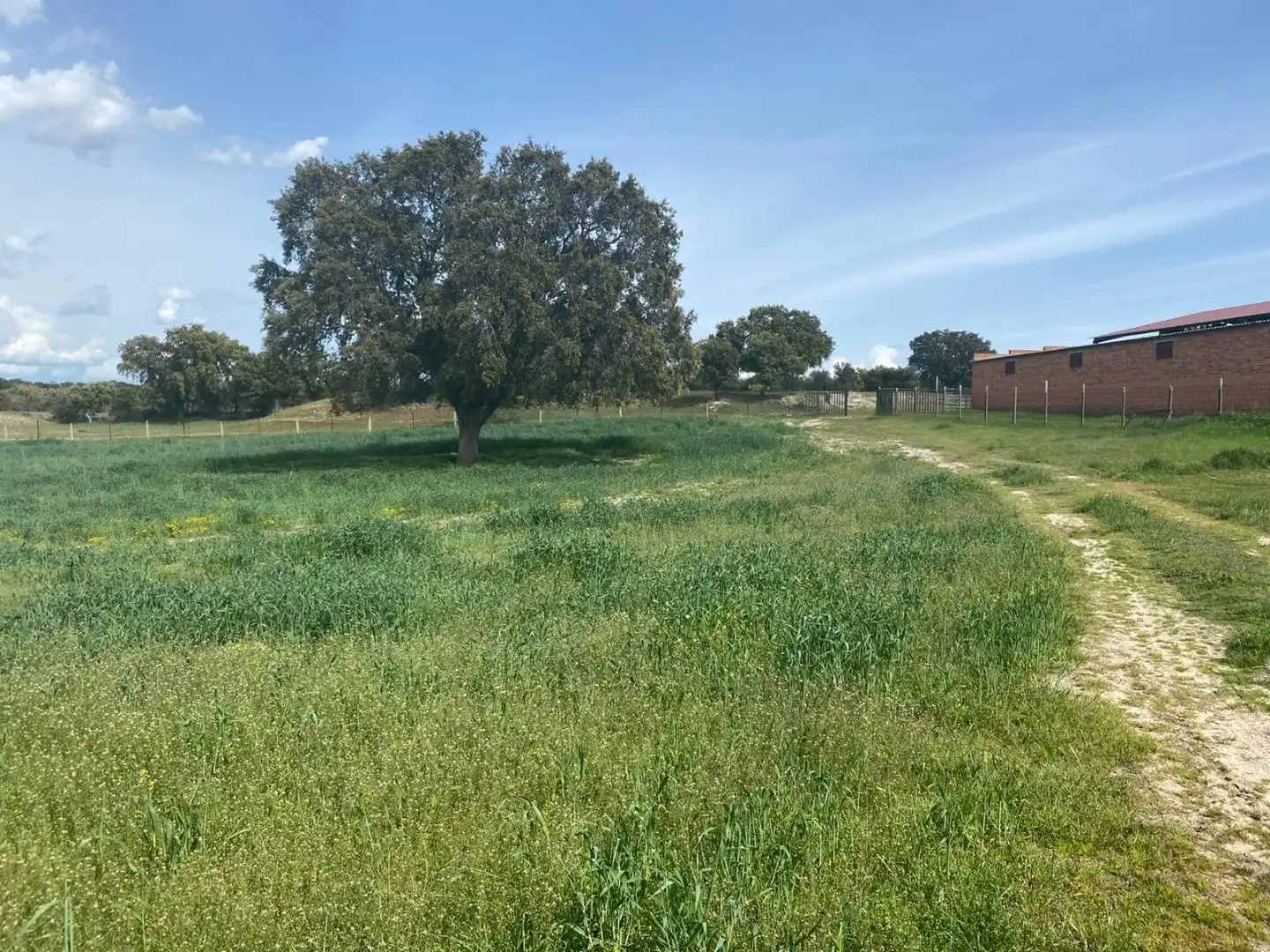 Terreno en venta en Mingorría