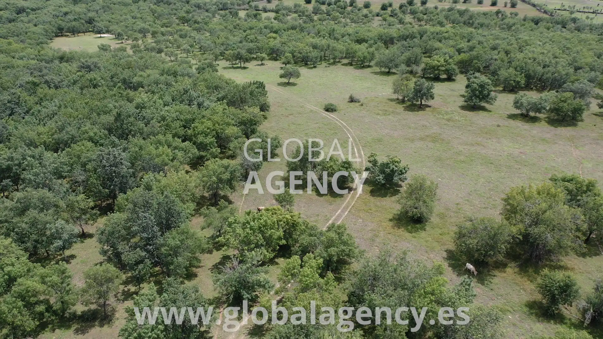 Rural land for sale in Soto del Real, imagen 4