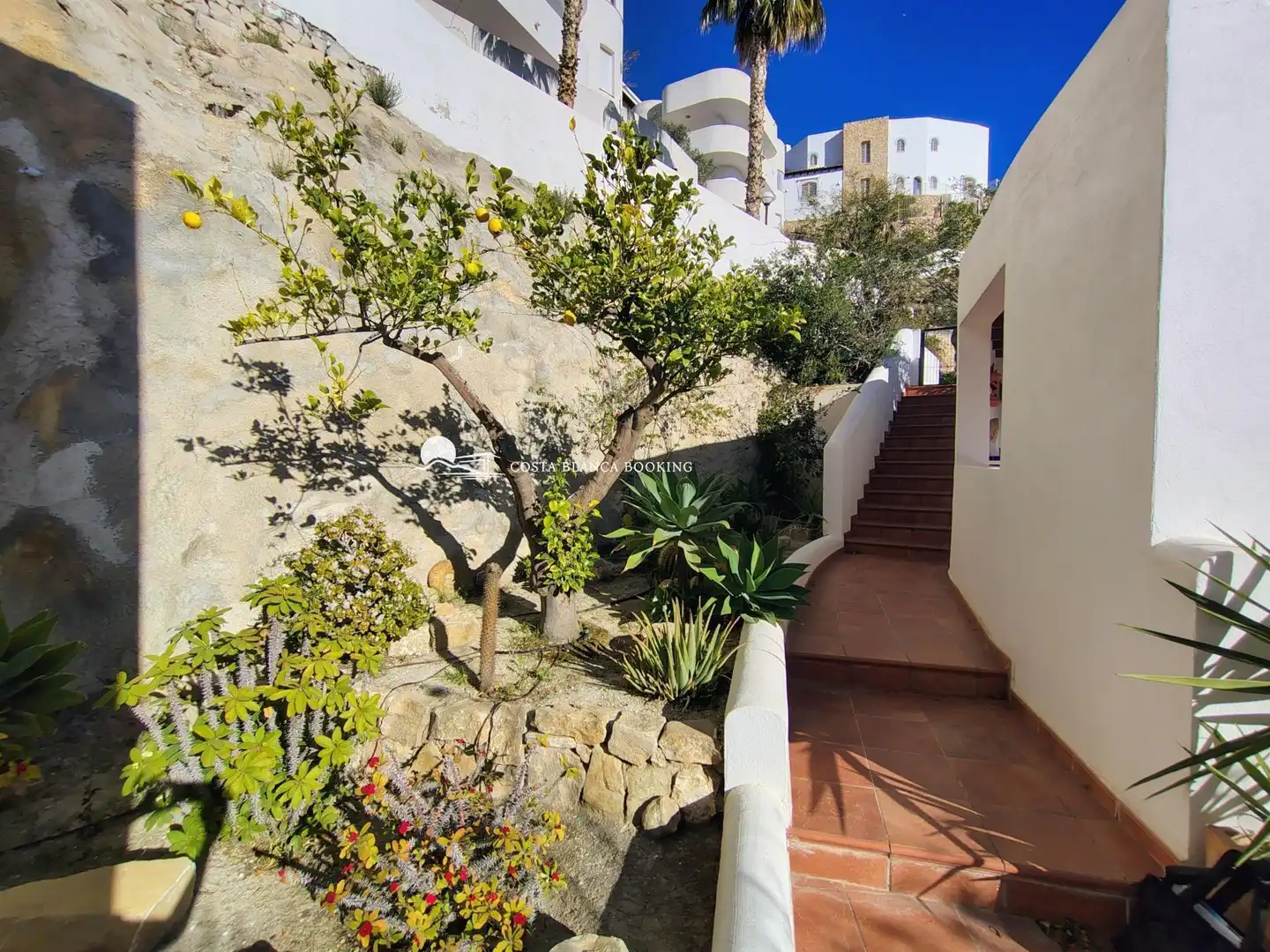 Vista exterior de Casa o xalet en venda en Villajoyosa / La Vila Joiosa amb Aire condicionat, Jardí privat i Piscina