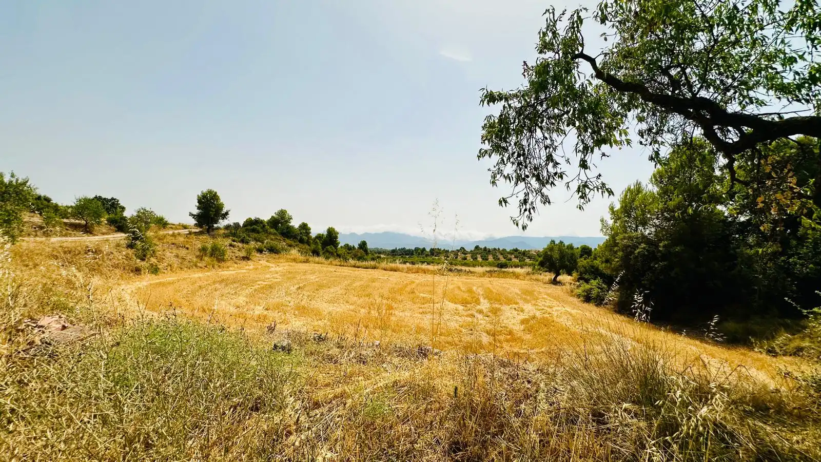 Terreni e lotti in vendita a Cretas, imagen 8