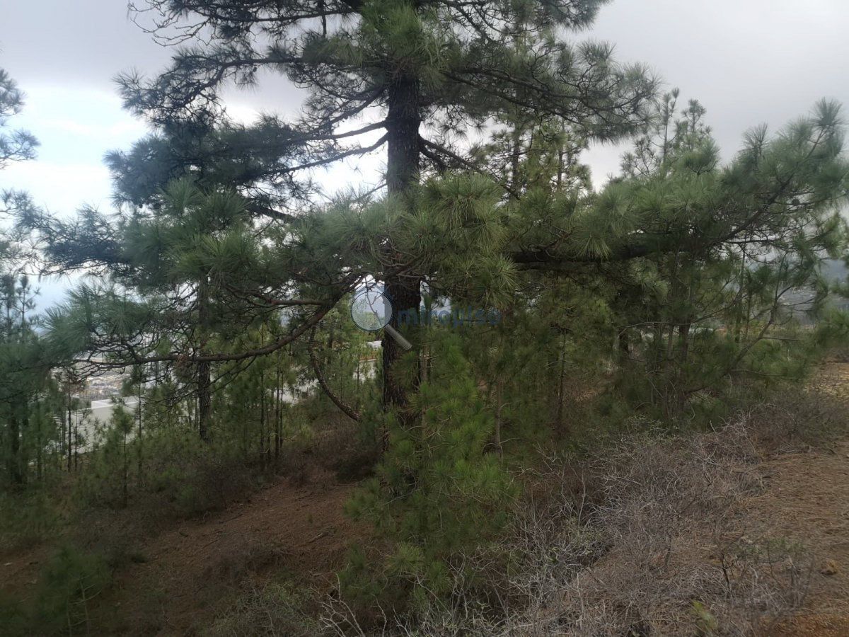 Residencial en venda en Arafo