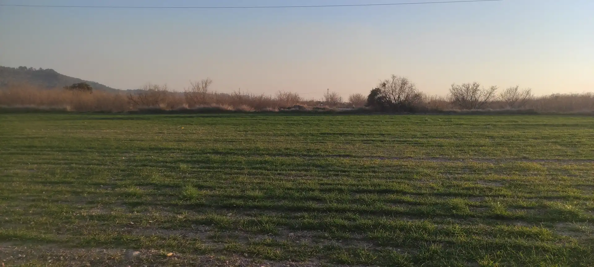 Terreny rústic en venda a Carretera Maso la a Vallmoll 1, imagen 4