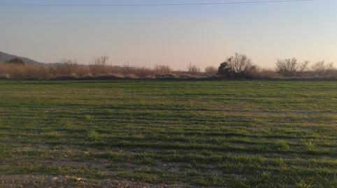 Photo 4 of Land for sale in Carretera Maso la a Vallmoll, 1, La Masó, Tarragona