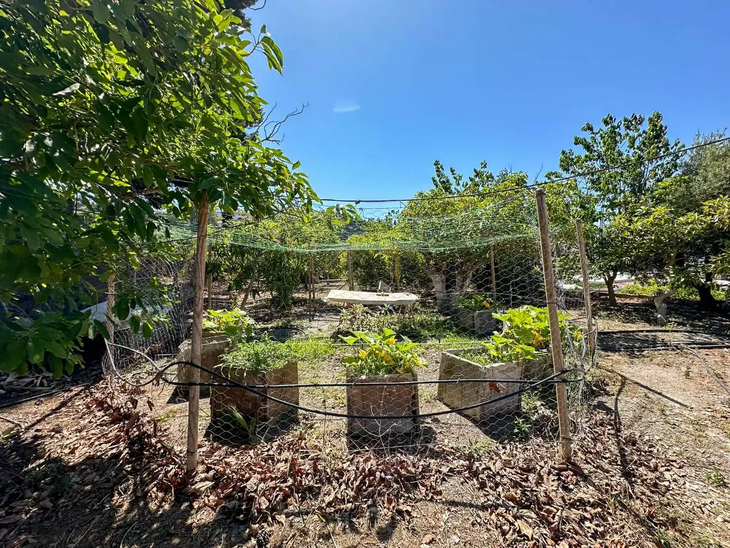 Jardín de Casa o chalet en venta en Motril con Calefacción, Terraza y Trastero