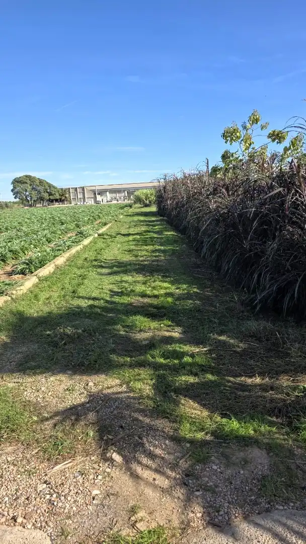 Land for sale in Valencia