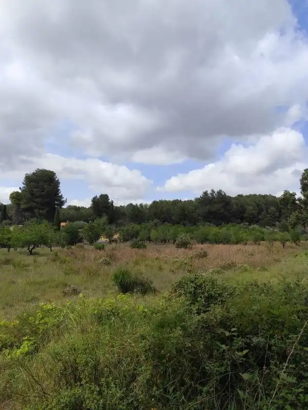 Residencial en venda en La Pobla de Tornesa