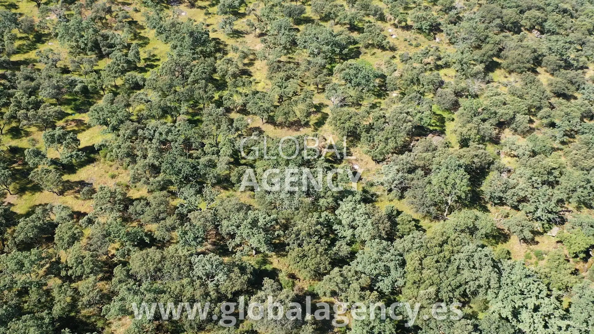 Terreni e lotti in vendita a Pasarón de la Vera, imagen 33