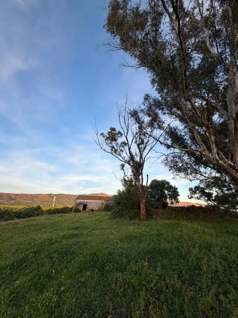 Finca rústica en venta en Tarifa