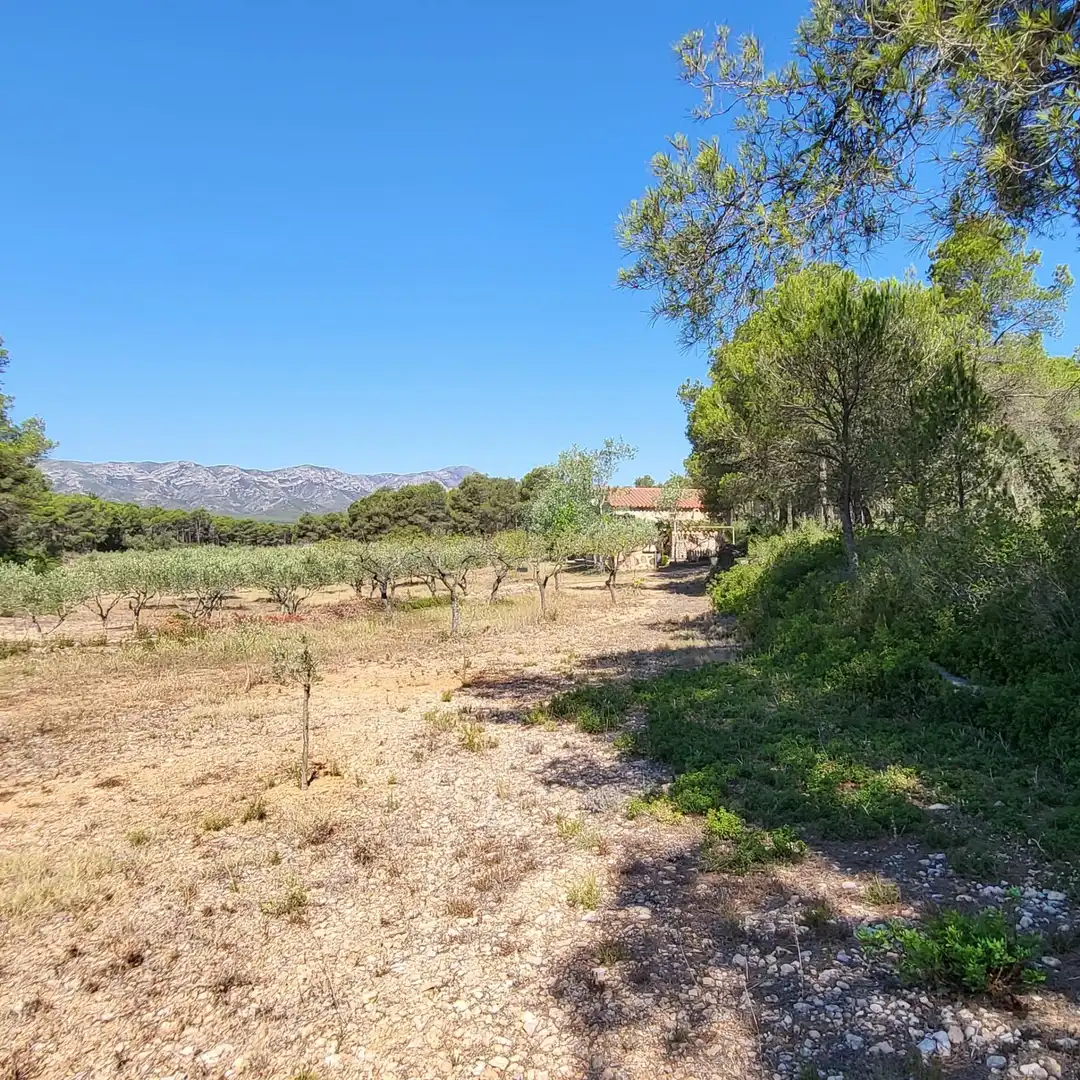 Casa rústica con piscina en venta en El Perelló, imagen 39