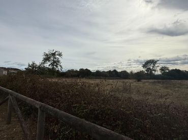 Terrenys i solars en venda a Carretera de Lugo de Llanera a Polígono de Silvota 11