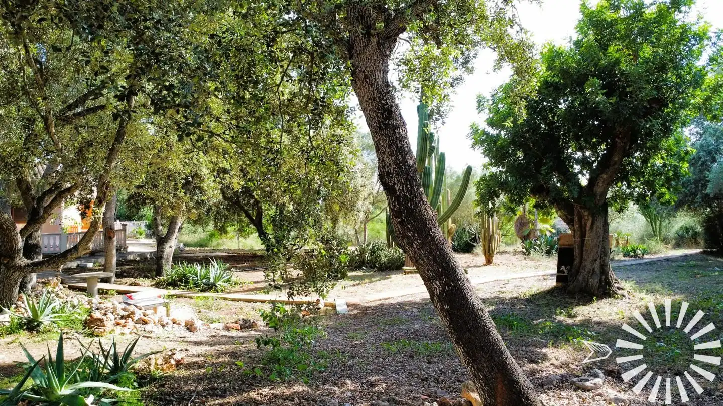 Maison avec piscine à louer à Camí de Son Servera, imagen 31