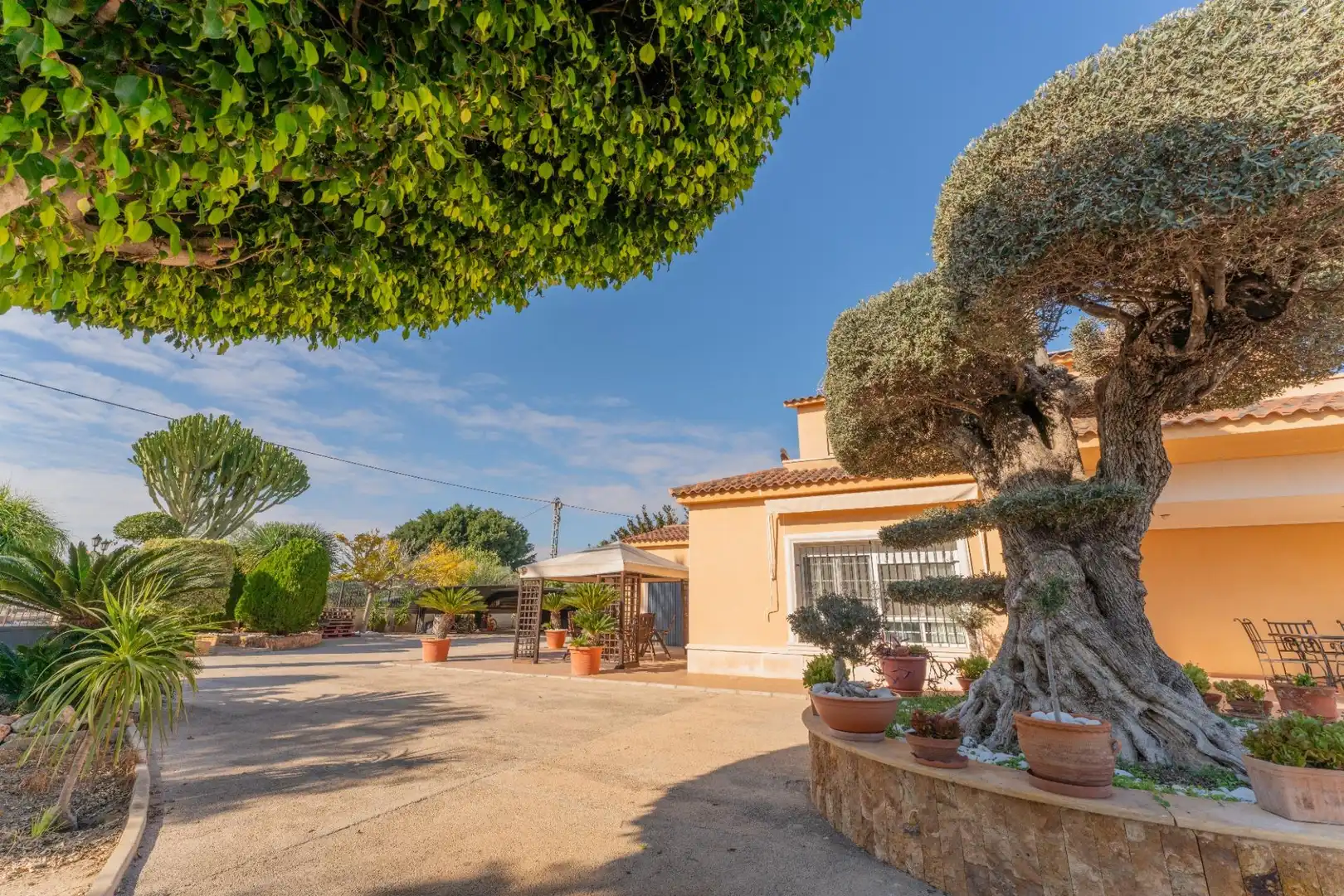 Jardín de Casa o chalet en venta en Elche / Elx con Trastero, Piscina y Balcón