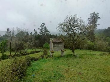 Casa amb jardí en venda a San Cristovo de Cea
