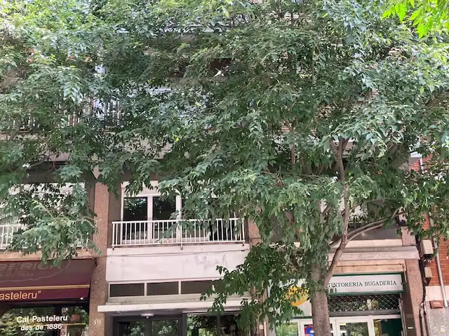 Vista exterior de Piso en venta en Berga con Balcón