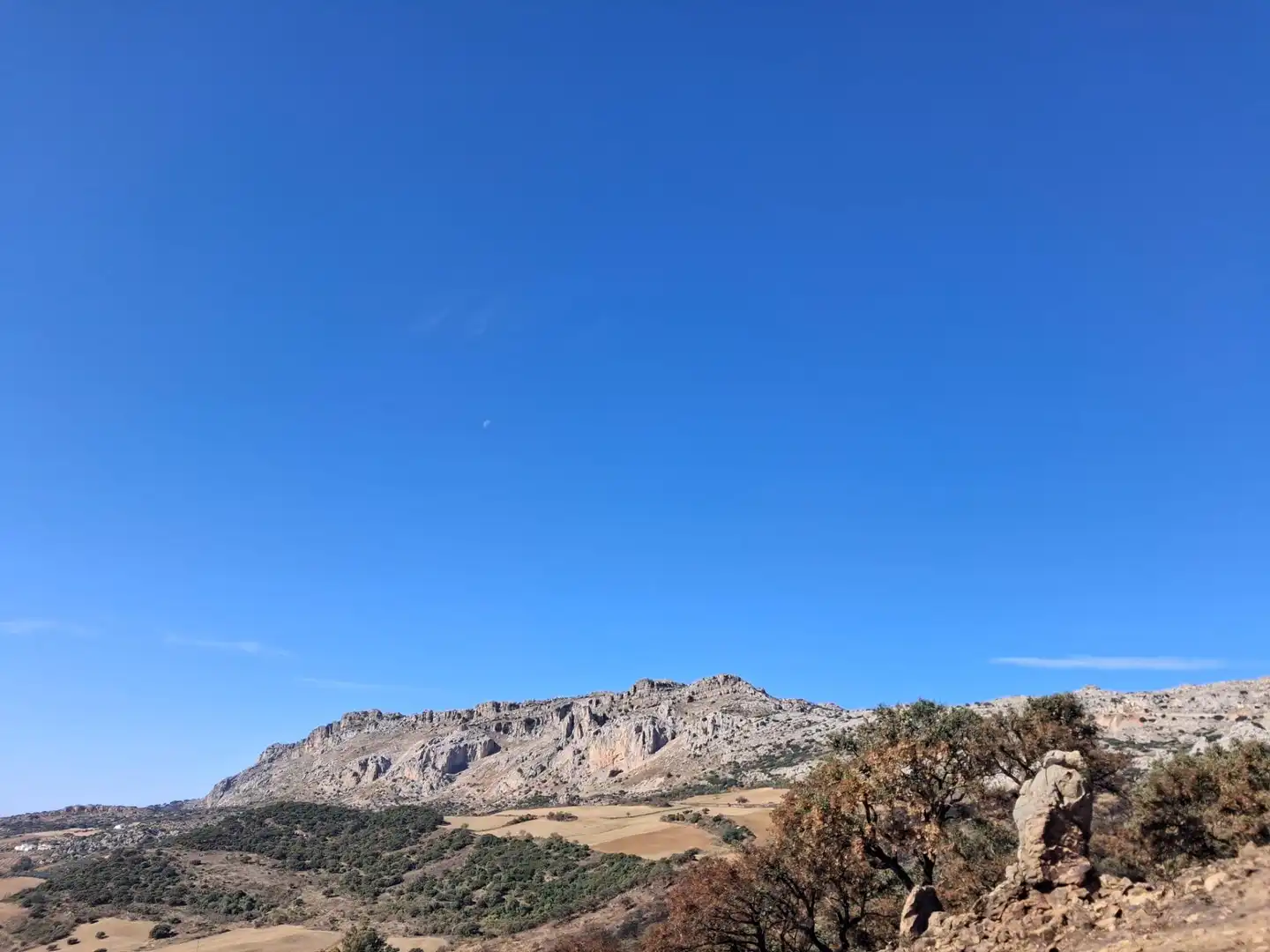 Terreni e lotti in vendita a Villanueva de la Concepción, imagen 13