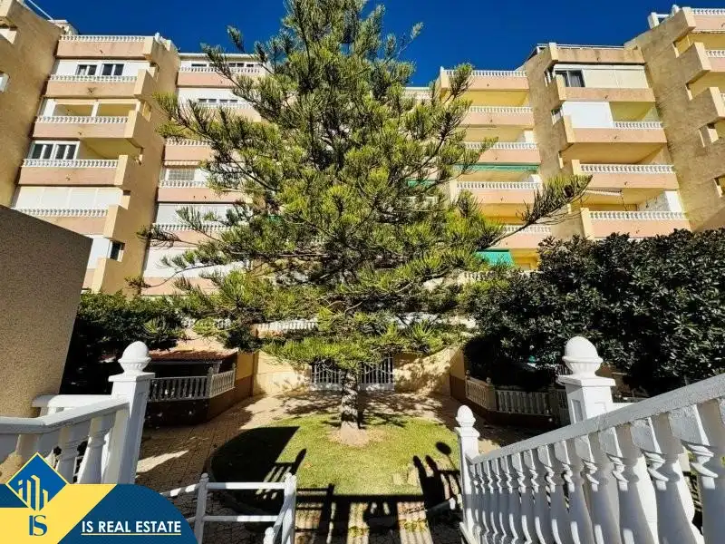 Penthouse with pool for sale in La Mata, imagen 39