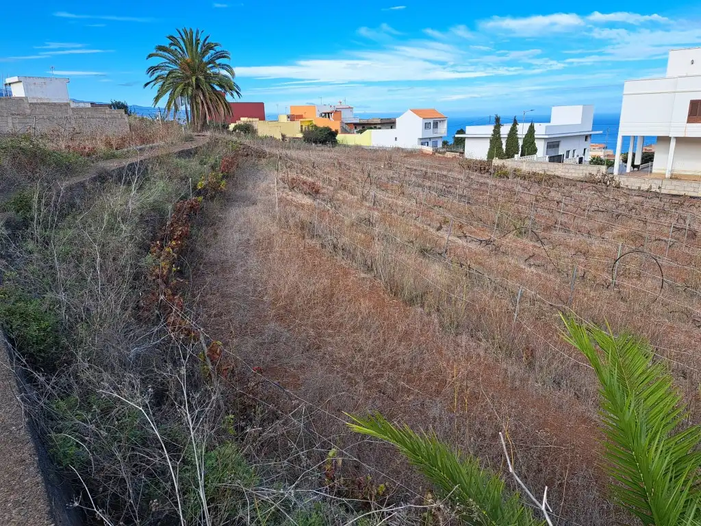 Rural land for sale in El Sauzal, imagen 18