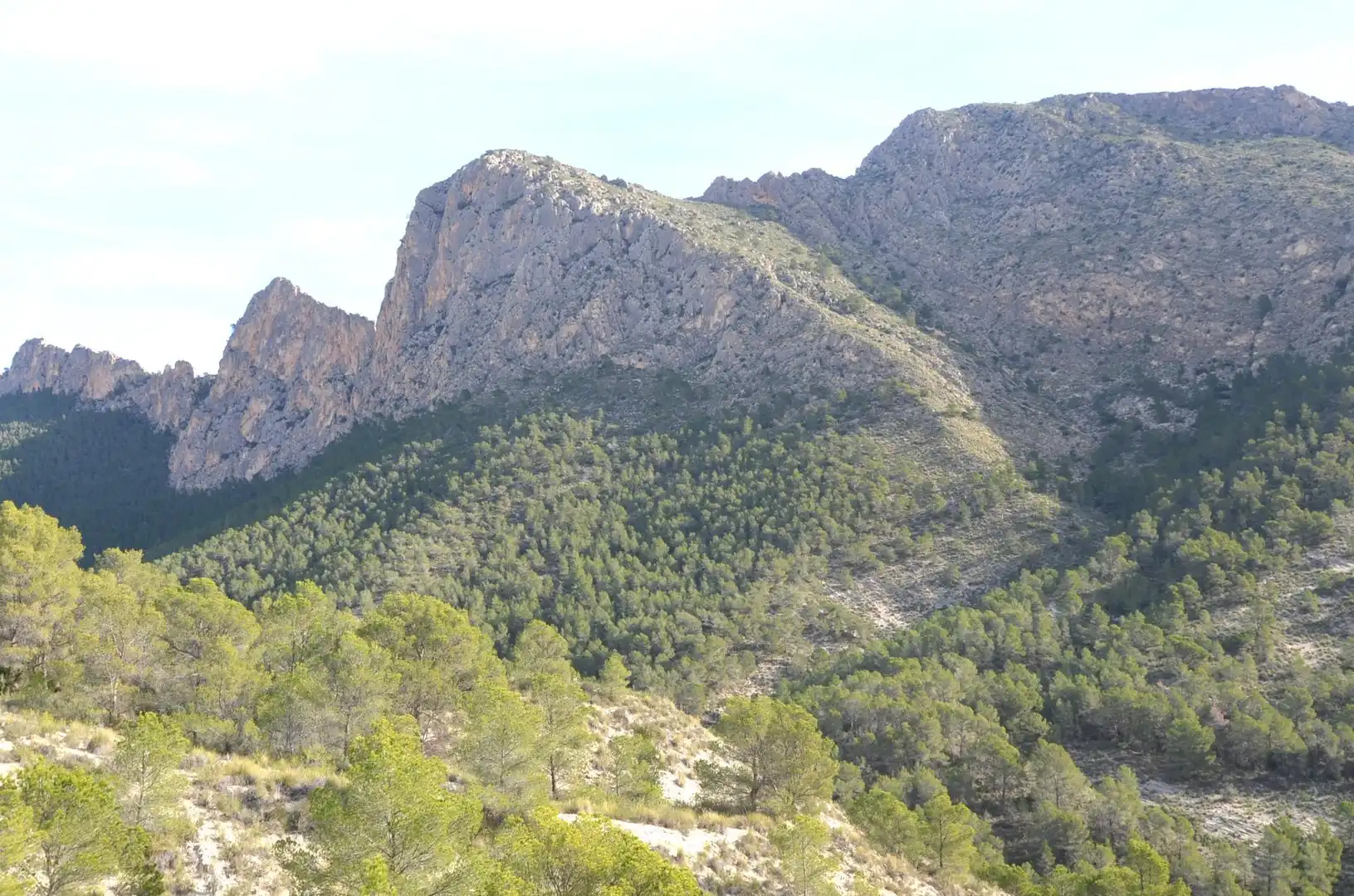 Vista exterior de Casa o xalet en venda en Orxeta amb Terrassa, Traster i Moblat
