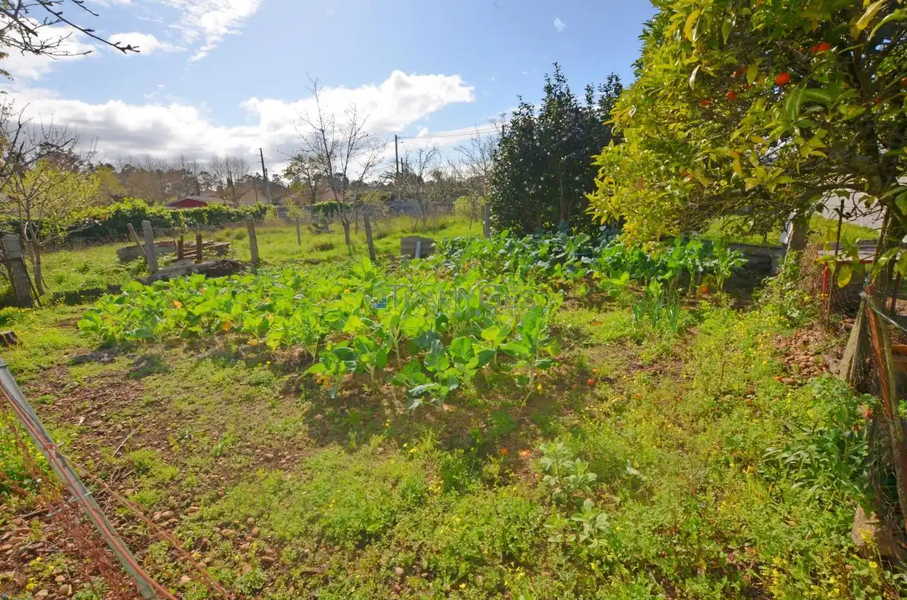 Maison avec jardin à vendre à CARREGAL DE ABAIXO, imagen 65