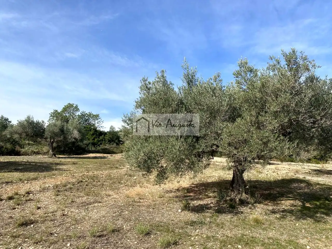 Terreno rustico in vendita a Planas, imagen 30