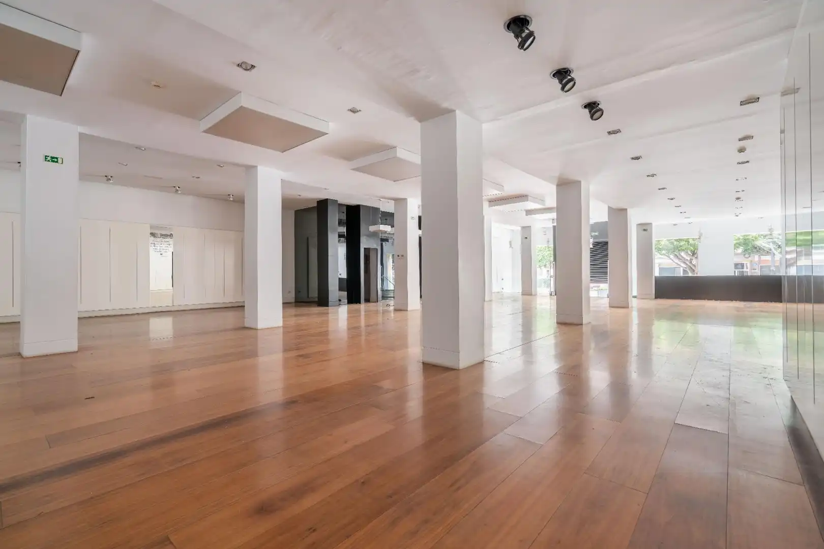 Local comercial en alquiler en Paseo de Almería 57, imagen 5