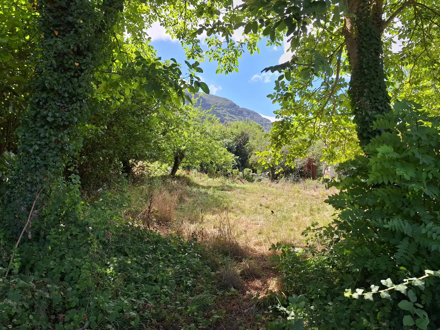 Terreni e lotti in vendita a siones, imagen 5