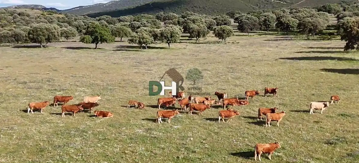 Terrenos y solares en venta en Nuevo Hospital, imagen 7