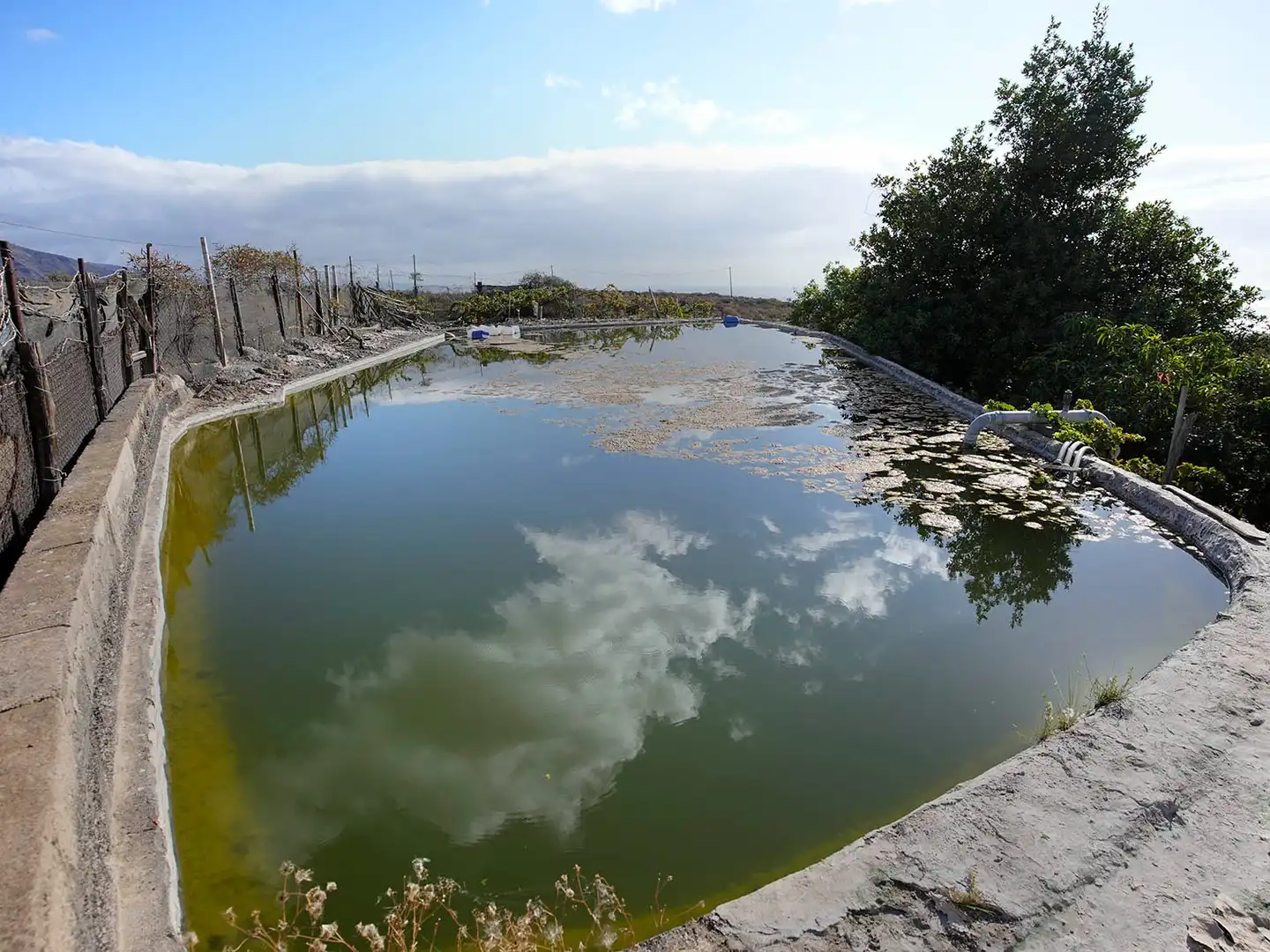 Piscina de Terreno en venta en Arafo, Santa Cruz de Tenerife