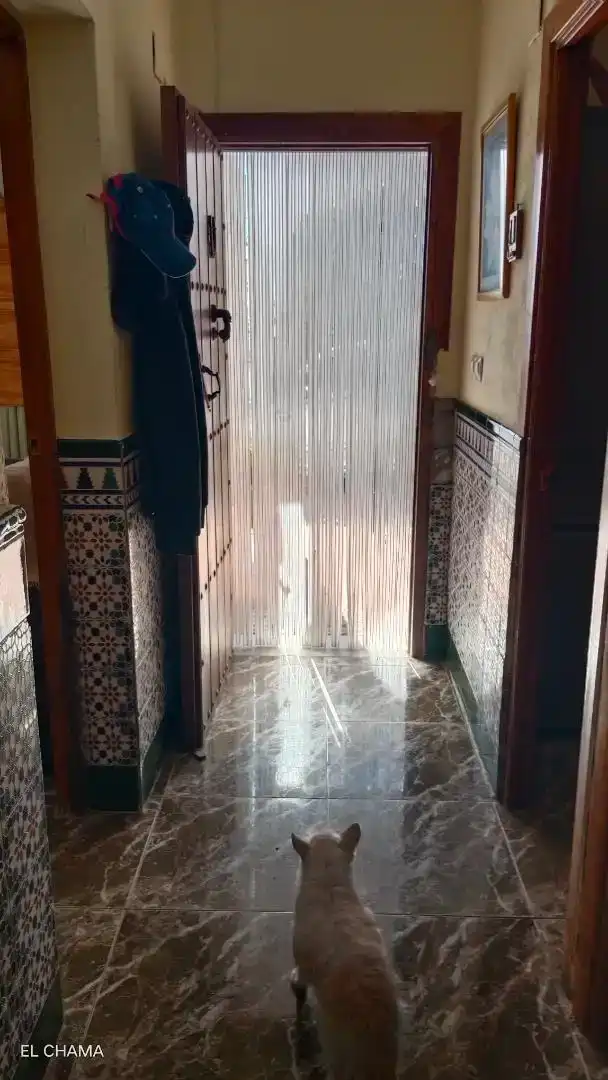 Bany de Casa adosada en venda en Válor