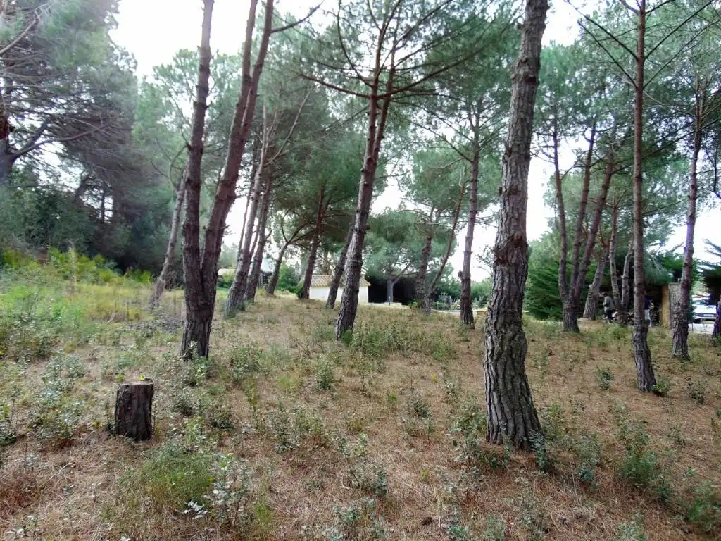 Residential for sale in Calonge i Sant Antoni