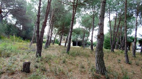 Foto 5 de Residencial en venda a Carrer Alguer, Puig Ses Forques - Torre Colomina, Calonge i Sant Antoni