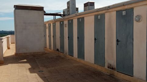 Photo 4 of Storage room for sale in Calle. Cl Formentera del Segura 1, Almoradí, Alicante