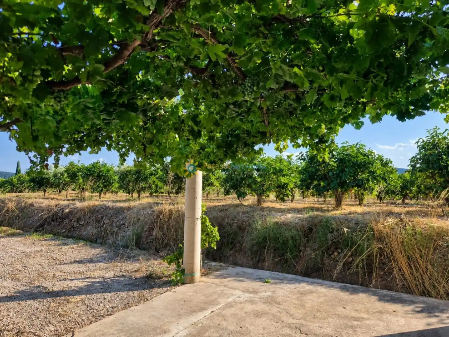 Finca rústica en venda en Cotes amb Jardí privat, Terrassa i Piscina