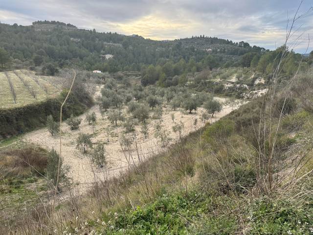 Terreno en Venta en Benimarfull