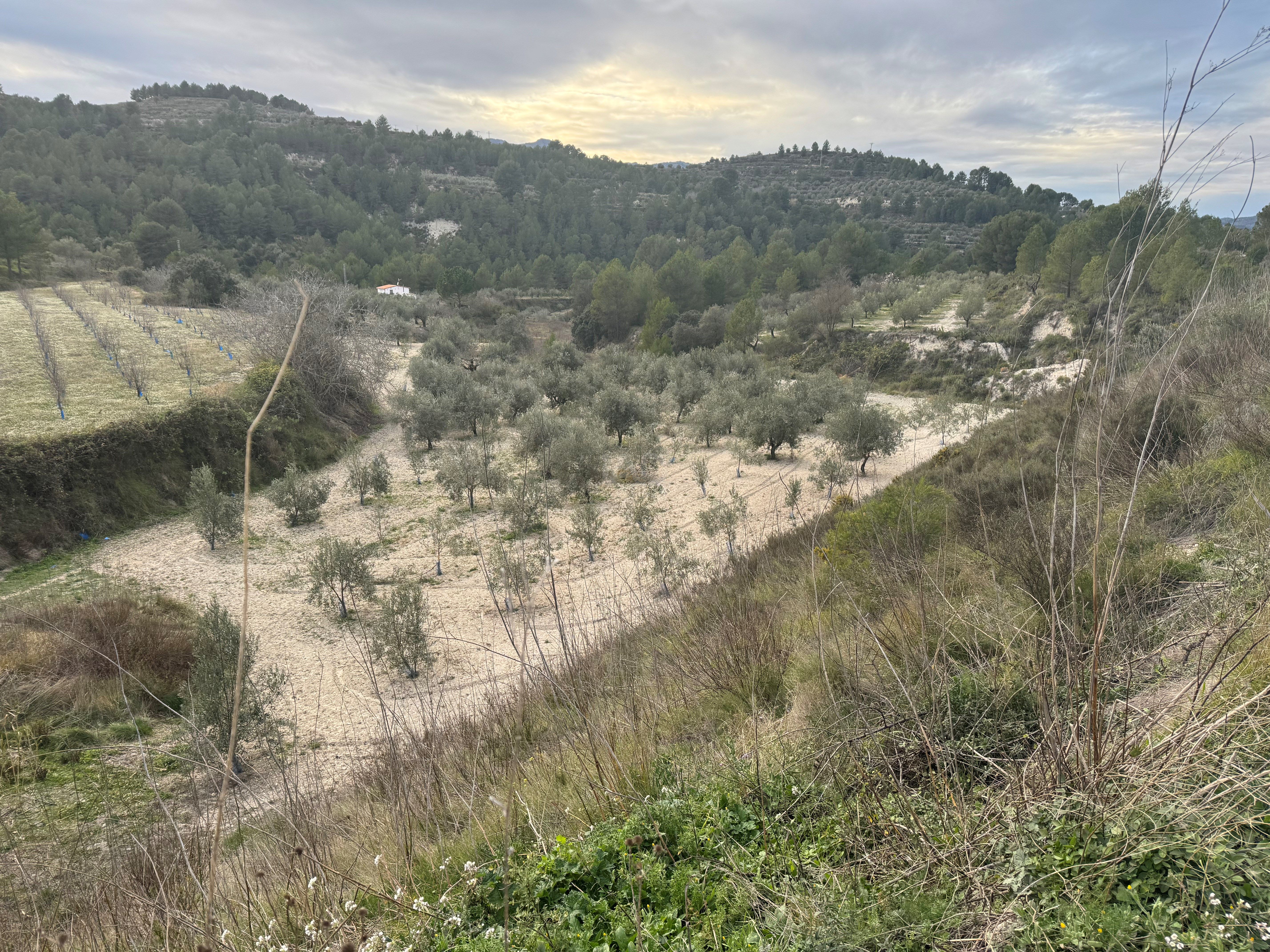 Terreno en venta en Benimarfull