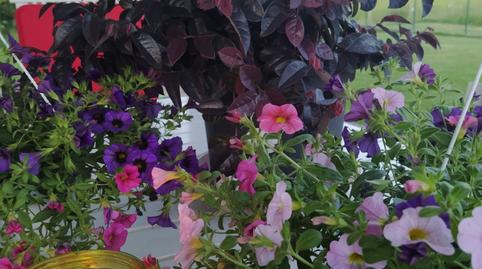 Foto 3 de Casa o xalet en venda a Gamiz-Fika, Bizkaia