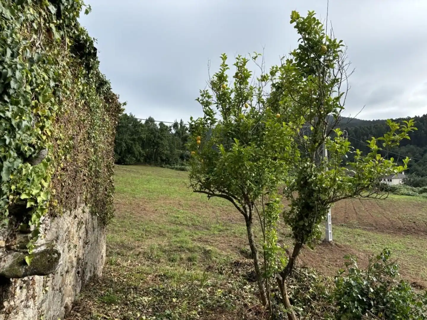 Country homes for sale in O Vicedo 