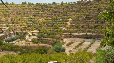 Casa de campo habitable en Mula con 80.000m2 de parcela