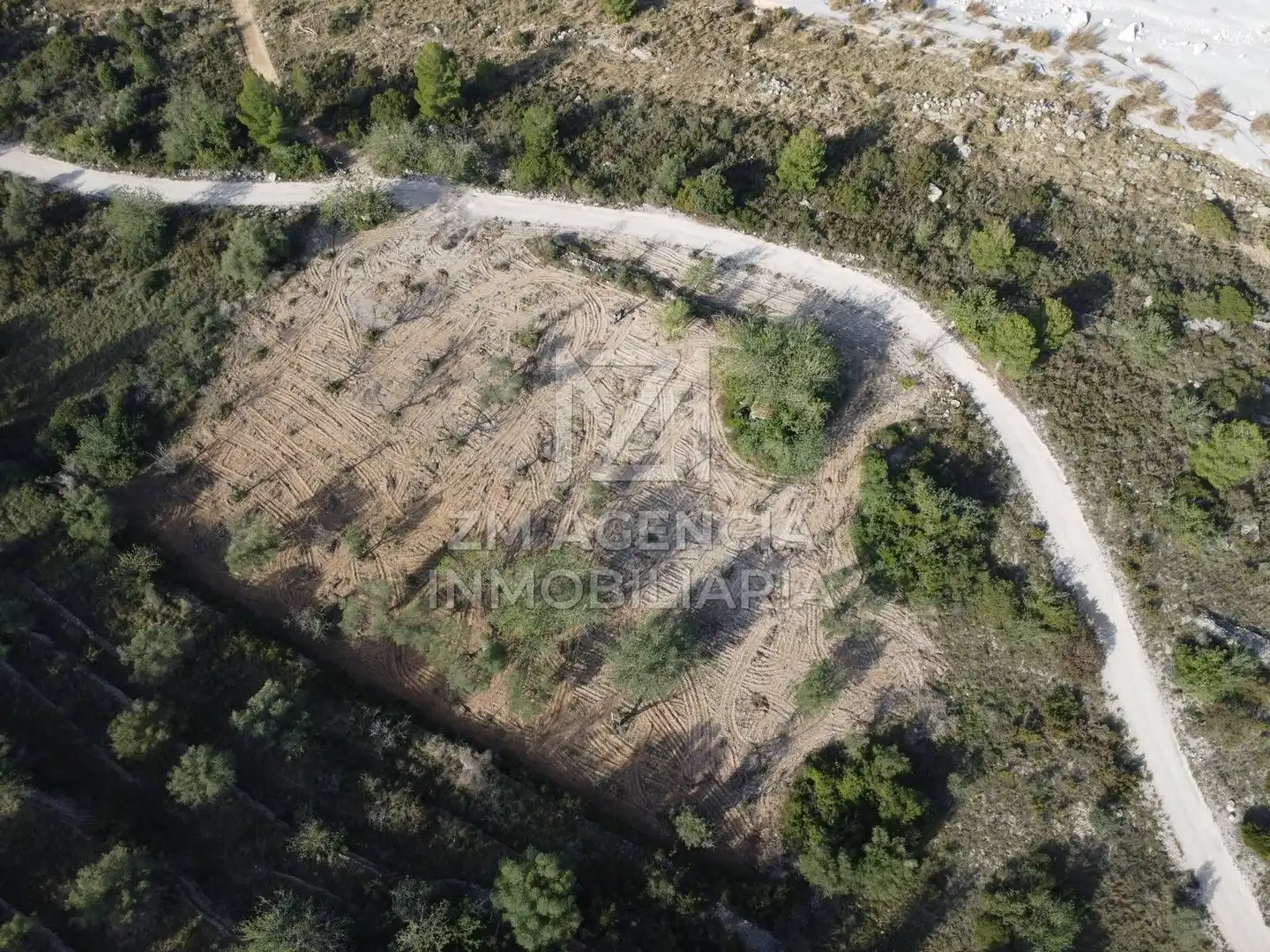 Rural land for sale in Cervera del Maestre