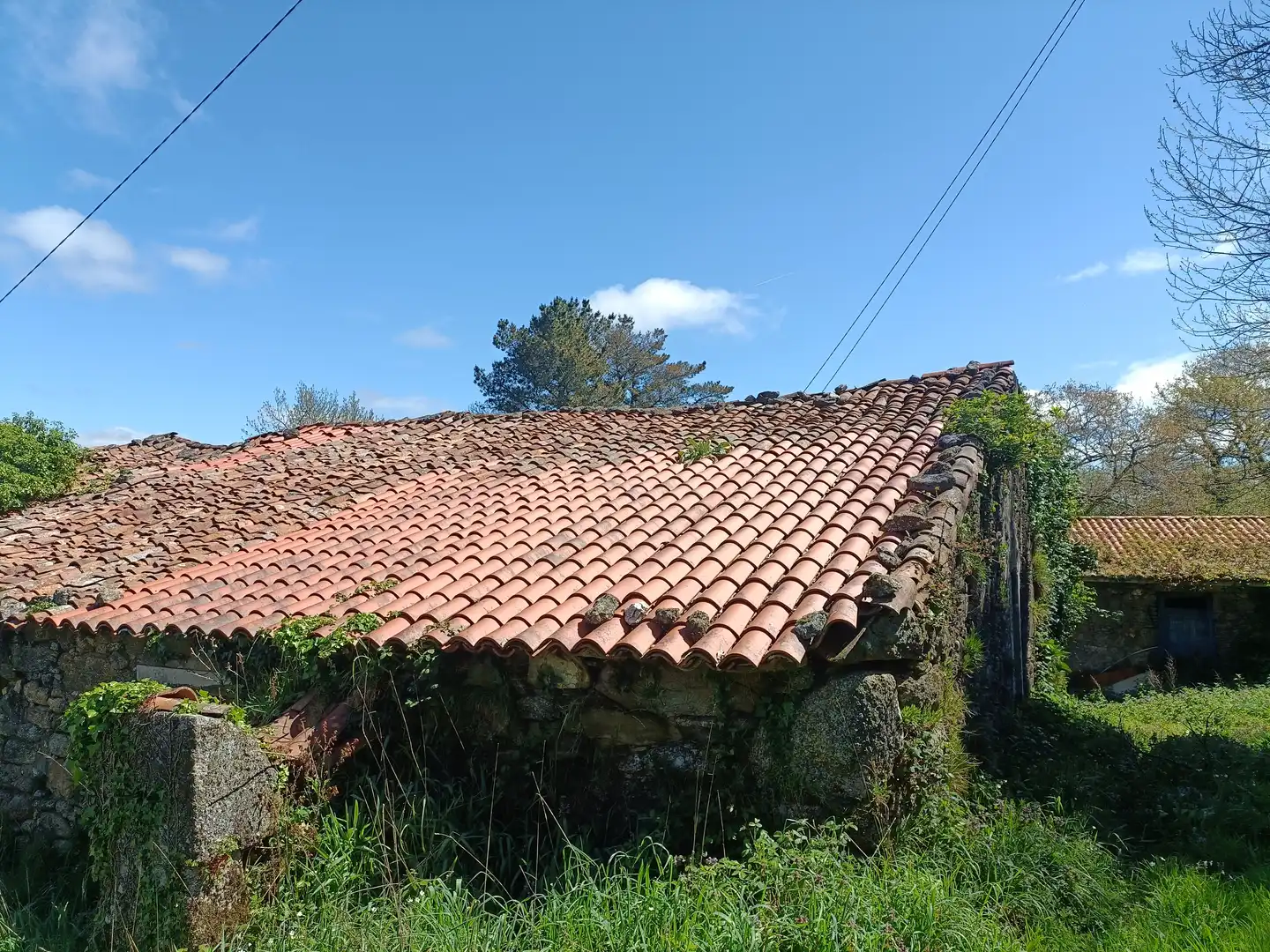Casa con jardín en venta en Curtis, imagen 7