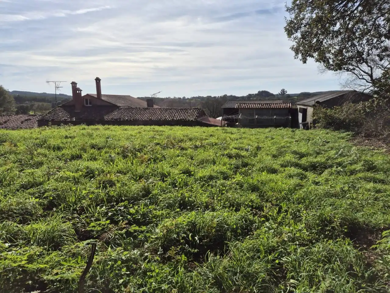 Nave industrial en venta en Curtis