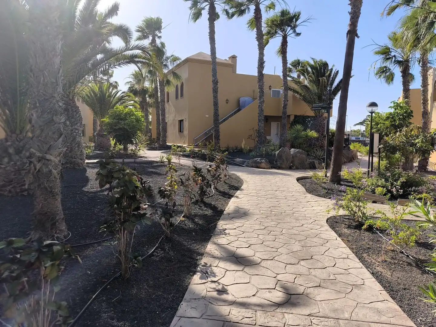 Vista exterior de Apartamento en venta en La Oliva con Jardín privado, Terraza y Piscina comunitaria