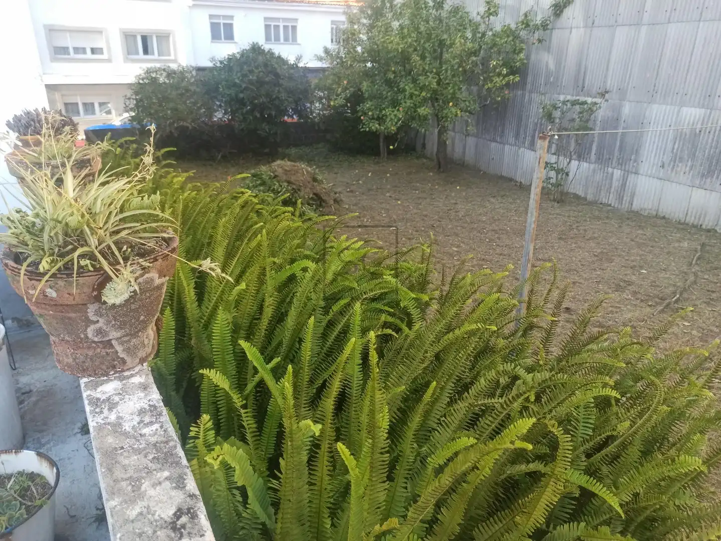 House for sale in Avenida Algeciras, imagen 21