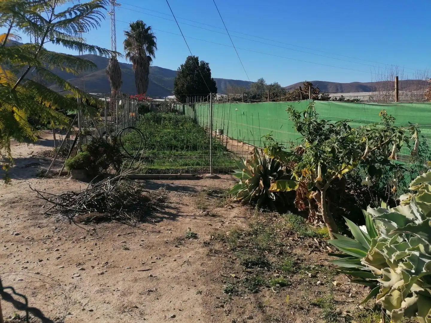 Finca rústica en venda en Dalías amb Jardí privat i Terrassa
