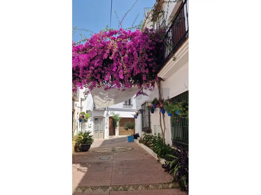 Casa in vendita a Calle Silva, imagen 25