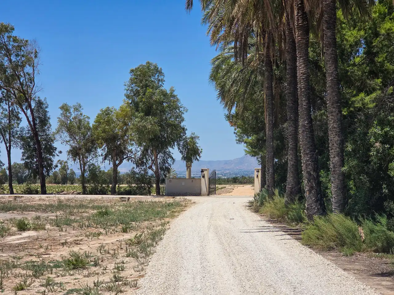 Vista exterior de Casa o xalet en venda en Elche / Elx amb Jardí privat, Terrassa i Piscina